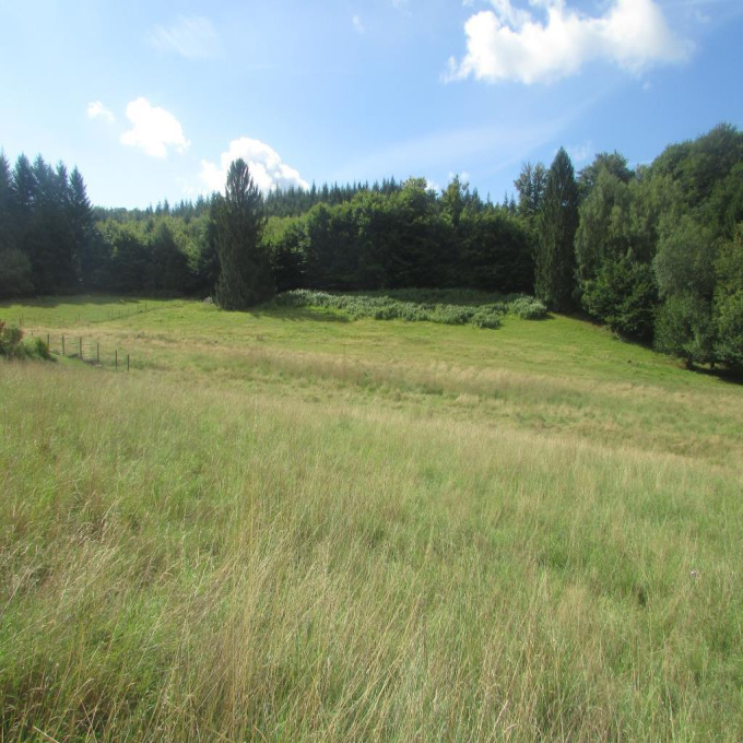 Offres de vente Terrain Forges (88390)
