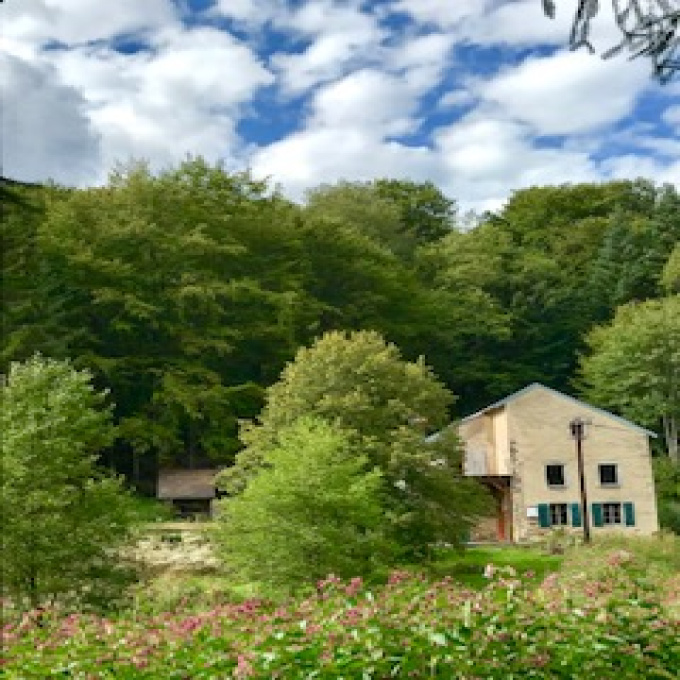 Offres de vente Ferme Girmont-Val-d'Ajol (88340)